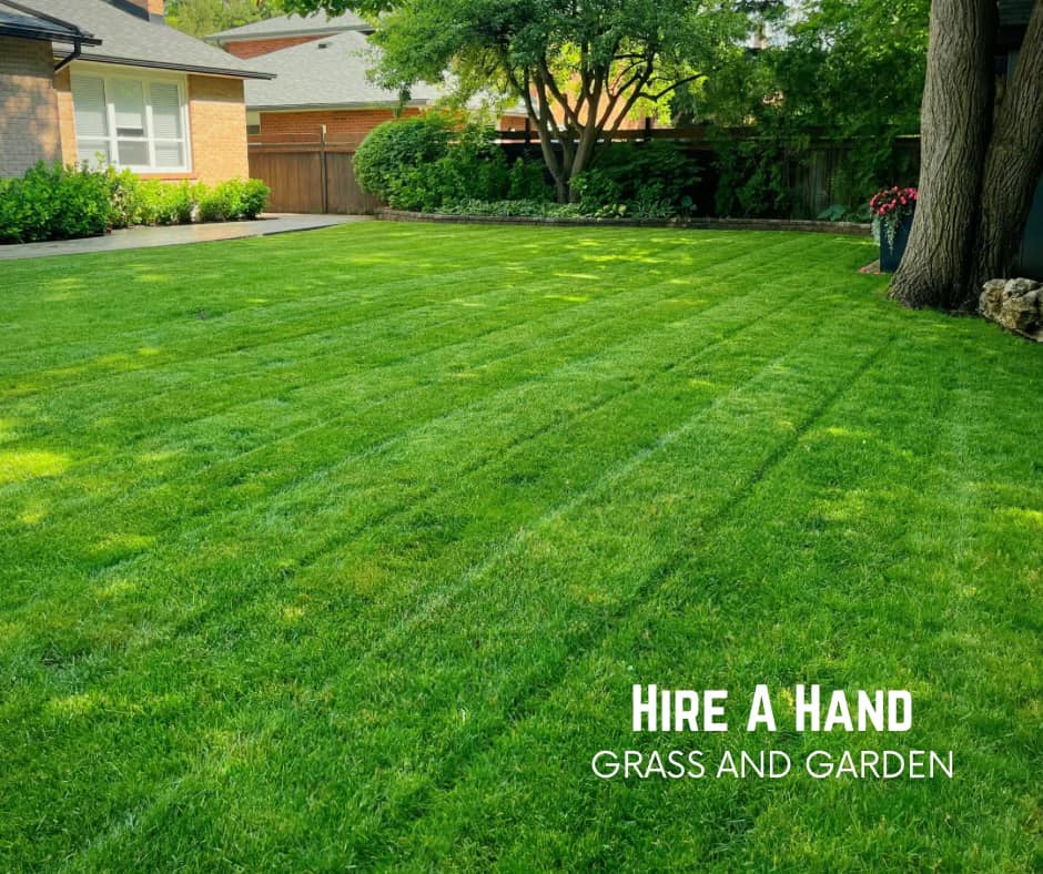 Freshly striped lawn maintained by Hire A Hand in Etobicoke