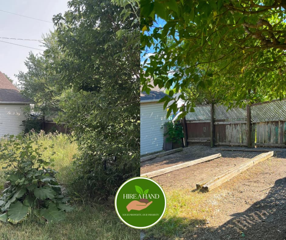 Overgrown backyard cleared to a tidy garden plot