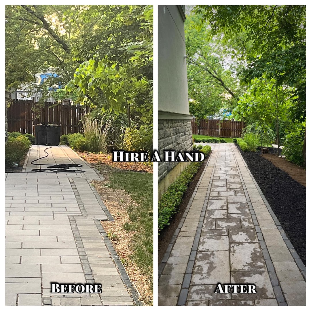 Side walkway reframed with hedging and black mulch